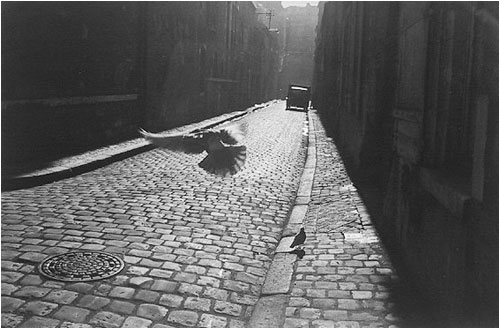 Orleans, France
1952
gelatin silver print