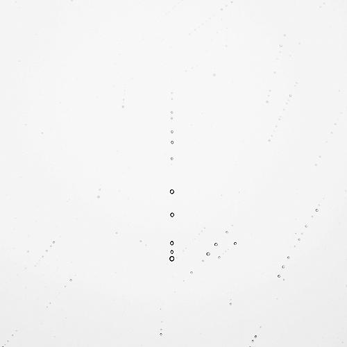 Rain
2007
gelatin silver print