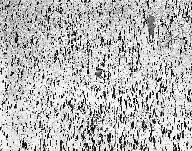 Wall, Chicago
1947
gelatin silver print