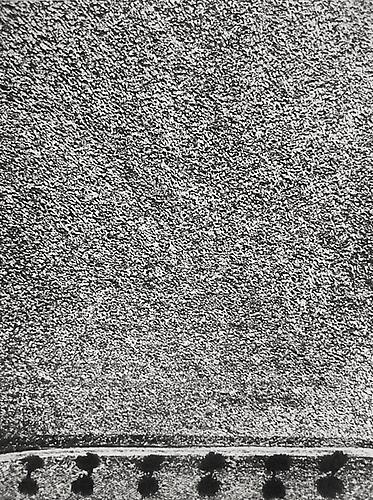 Presa di coscienza sulla natura
1954-2000
gelatin silver print