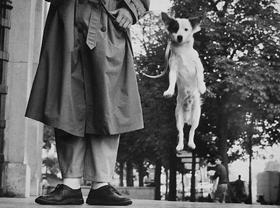 Paris, France [jumping dog]
1989