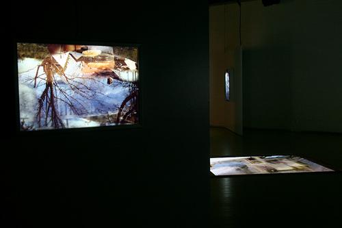 CHERYL PAGUREK | FLOW AND REFLECTION | INSTALLATION VIEW | LA MAISON DE LA CULTURE DU PLATEAU MONT-ROYAL | 2009


FEATURED EXHIBITION | THE SPACES OF THE IMAGE | LE MOIS DE LA PHOTO A MONTREAL | SEPTEMBER 10 TO OCTOBER 11, 2009