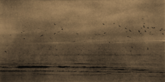 Ocean 40, Santa Monica, California
artist proof
2000
gelatin silver print