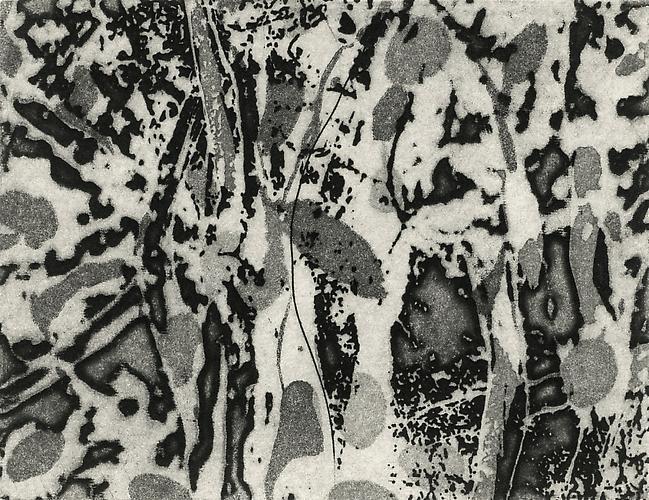The type is hand set Janson. The book was bound with slipcase by Sarah Creighton. Landscape is 10" x 10" and has 33 printed pages on Arches Cover White.