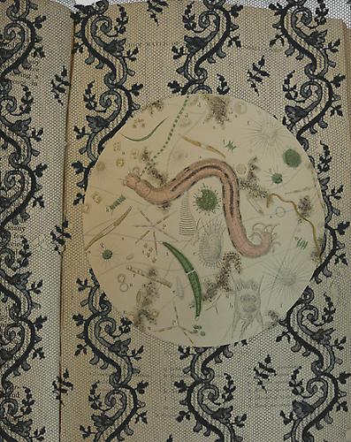 CINDY STELMACKOWICH | WATER COMPANY SAMPLE, 1854 | CHOLERA SHAPES AND SPACES SERIES | ULTRACHROMIUM PRINT | 24 X 20 INCHES | 2009