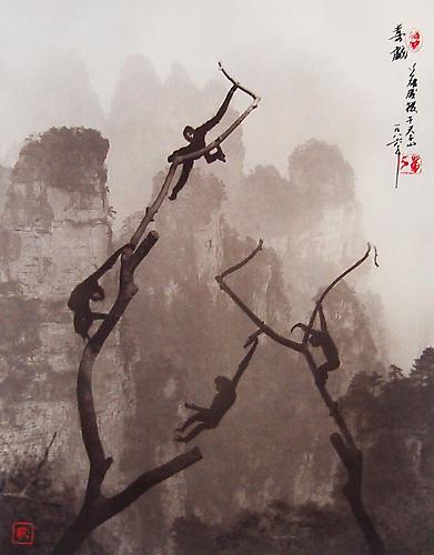 Gibbons at Play, Tianzi Mountain
1986
sepia-toned gelatin silver print