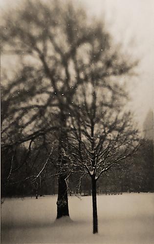 Central Park No. 3, New York
artist proof
2001
gelatin silver print