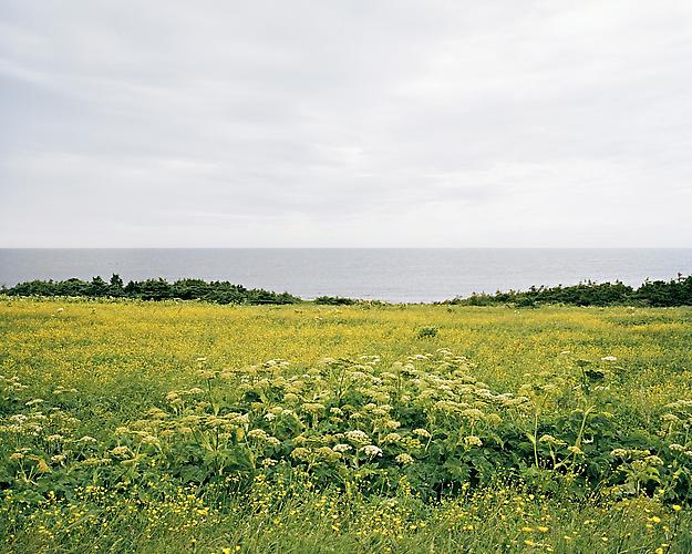 PHILIP'S GARDEN | UNMARKED SITES | C-PRINT | 24 X 30 INCHES | 2010