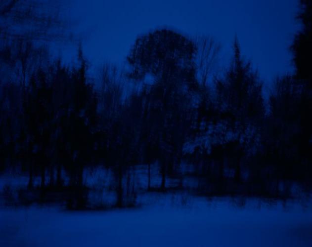 Tree Whisper, Sagaponack, New York
edition 2/20
2010
archival pigment ink on paper