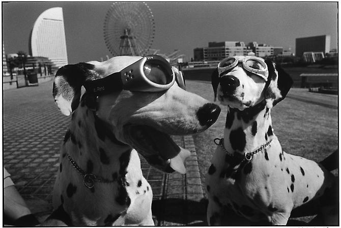 Yokohama, Japan
2003