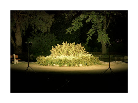 COURONNE | ILLUMINATED LANDSCAPE SERIES | C-PRINTS | 30 X 40 INCHES | 2002