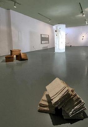 ONCE REMOVED, MEDICAL HISTORIES | 2006