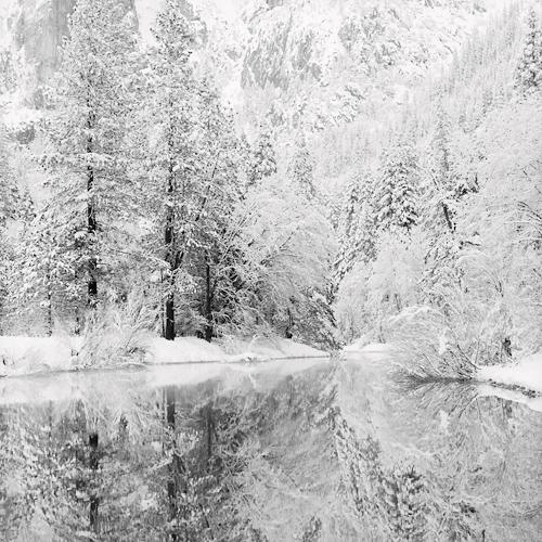 Snow Covered Reflections
2005
gelatin silver print