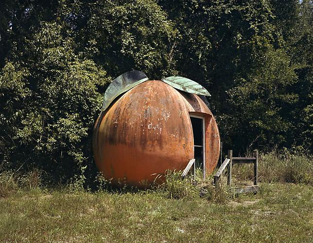 Florida Orange, near Mt. Dora, from series "Along the Dixie Highway," 2007
C-print
30 x 40 in.
