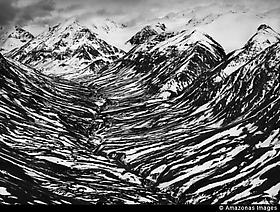 Sebastião Salgado - GENESIS