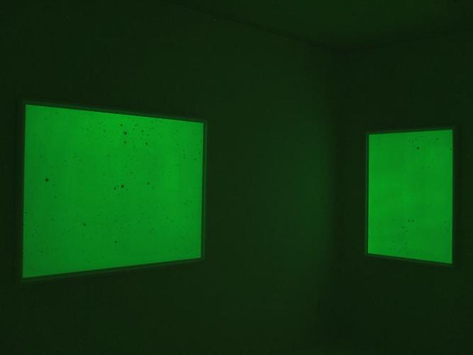 Mungo Thomson
Dark Matter, 2010
Installation view
Gavlak, Palm Beach