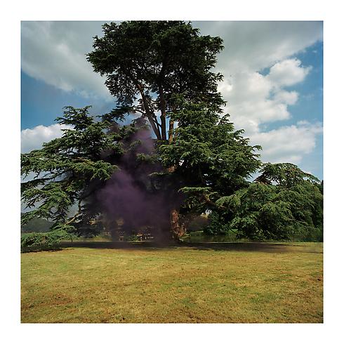 Landskip, 2000
Compton Verney, Warwickshire. Curated by Locus+
50 x 51 in.