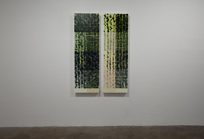 Jaq Chartier:  Slow Color