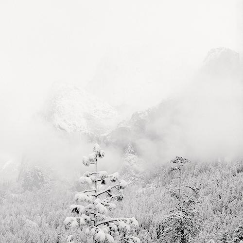 Valley View
2005
gelatin silver print