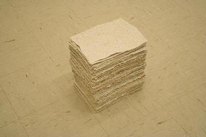 MEDICAL HISTORIES | SHREDDED AND CAST PAPER | 12 X 8.5 X 11.5 INCHES | 2002-ONGOING