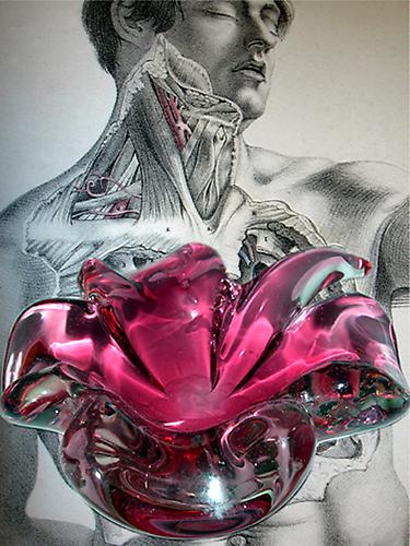 CINDY STELMACKOWICH | BLINDED BY SCIENCE: MAGENTA | C-PRINT | 24 X 32 INCHES | 2006