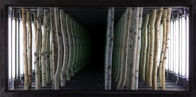Anthony James
Birch 30 x 60 x 10 - 2008
Birch, Black Steel, Glass, Fluorescents
30 x 60 x 10 inches