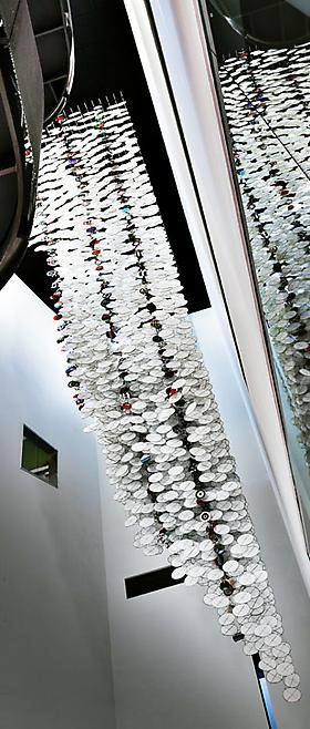JACOB HASHIMOTO
