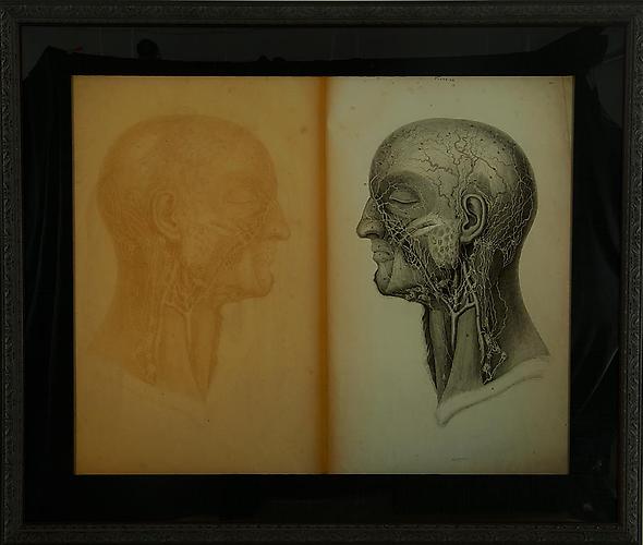 CINDY STELMACKOWICH | MOURNING I | ULTRACHROMIUM PRINT | 50 X 40 INCHES | 2010
