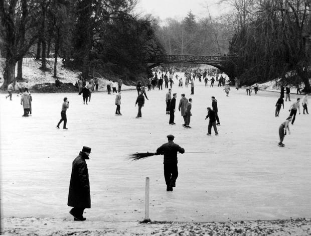 Bois de Boulogne, Paris
1954
gelatin silver print