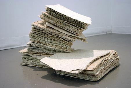 MEDICAL HISTORIES | SHREDDED AND CAST MEDICAL DOCUMENTS | 2006