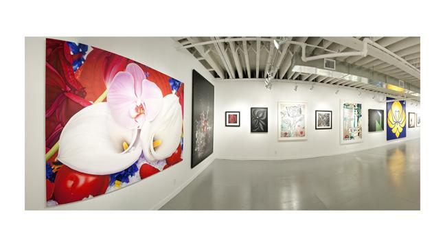 Installation