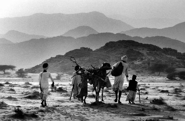 Red Sea Region, Sudan [Villagers in exodus between Tokar and Karora walk in the hope of reaching a refugee camp]
1985
gelatin silver print