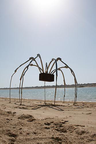 Arnaud Rivieren
Mademoiselle   2010
Stainless steel and steel
44 x 55 in (diameter)