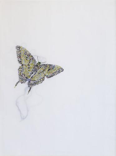 Butterfly, 2009
Glass beads and thread on vellum
21 x 27 inches