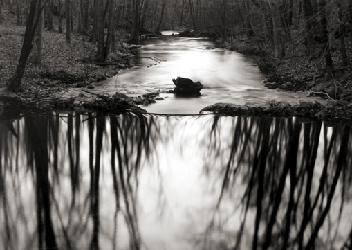 Reflecting Stream, Redding, CT
1968
gelatin silver print