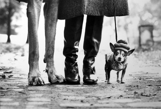 New York [Great Dane Legs, Boots & Chihauhau Legs]
1974
gelatin silver print