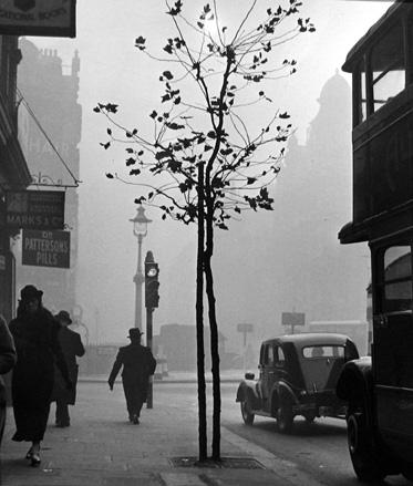 View from 84 Charing Cross Road towards Cambridge Circus [stop light]
1936
gelatin silver print