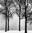 Harry Callahan