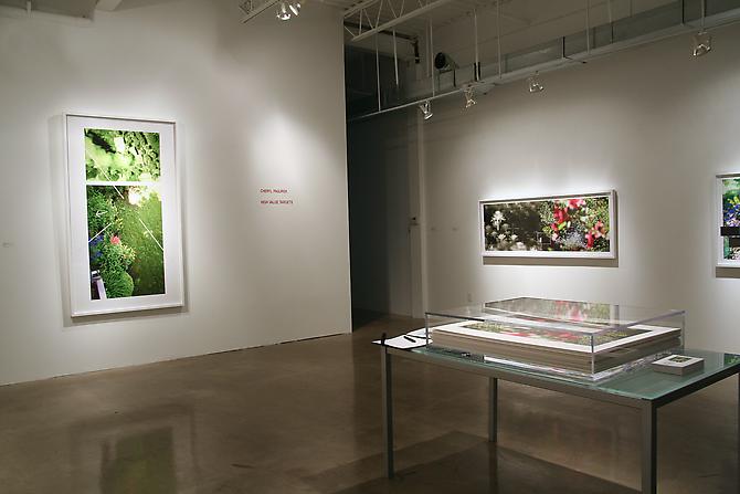 CHERYL PAGUREK | HIGH VALUE TARGETS | INSTALLATION VIEW | PATRICK MIKHAIL GALLERY | 2010