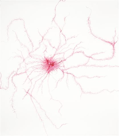 ROOT DRAWING 5 | MIXED MEDIA ON PAPER | 30 X 35 INCHES | 2010