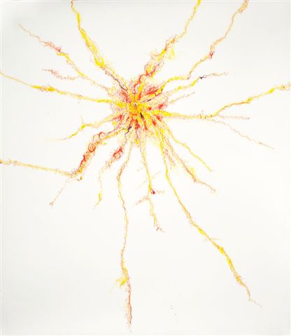 ROOT DRAWING 3 | MIXED MEDIA ON PAPER | 30 X 35 INCHES | 2010