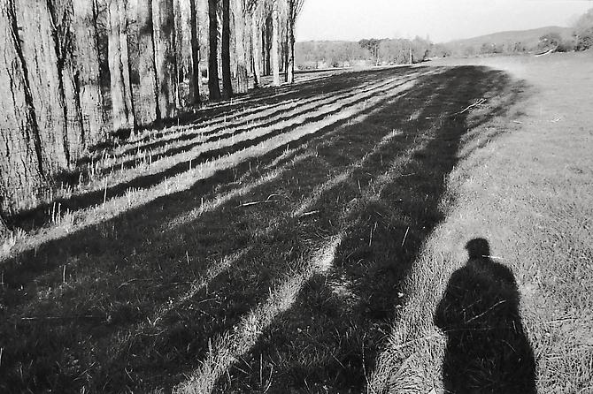 Provence (last self portrait)
1999
gelatin silver print