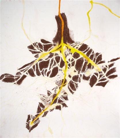 ROOT DRAWING 1 | MIXED MEDIA ON PAPER | 30 X 35 INCHES | 2010