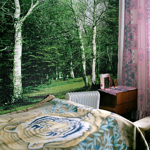 OLGA CHAGAOUTDINOVA | TIGER AND A FOREST IN THE BEDROOM | C-PRINT | 61 x 61 CENTIMETERS | 2006