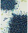Pouran Jinchi "Entropy"