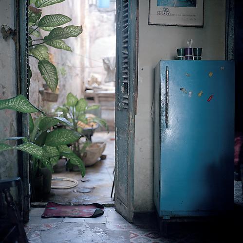 OLGA CHAGAOUTDINOVA | PLANTS AND FRIDGE | C-PRINT | 61 x 61 CENTIMETERS | 2007