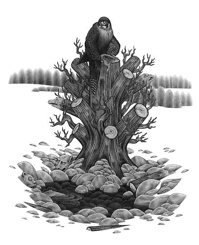 Eric Beltz, Medusa's Stump (2011)
Graphite On Bristol
12h x 9.75w in (30.48h x 24.77w cm)