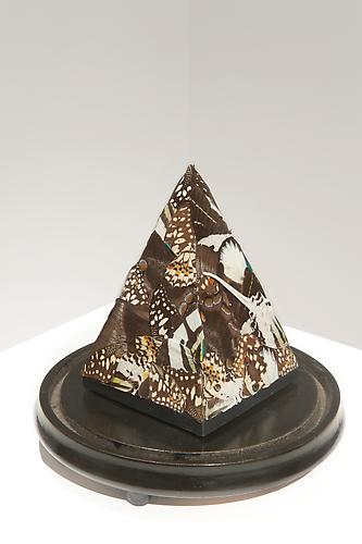 CINDY STELMACKOWICH | IN MOURNING OF | INSTALLATION VIEW | PATRICK MIKHAIL GALLERY | NOVEMBER 2010

CINDY STELMACKOWICH | REQUIEM: LUX AETERNA | BUTTERFLY WINGS, MARBLE PYRAMID | 29 X 19.5 X 22 CM | 2010