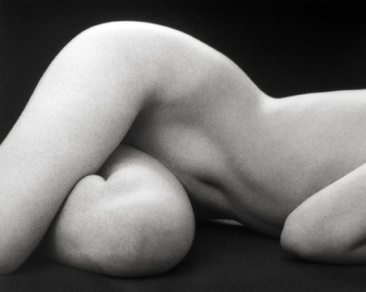 Hips Horizontal
1975
selenium-toned gelatin silver print