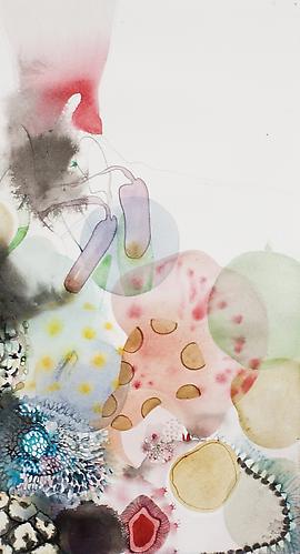 Untitled (EHR 37) from Sweet Corruptions (2012)
Watercolor, graphite on paper
18h x 10w in (45.72h x 25.4w cm)